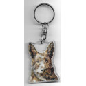 PICARD SHEEP DOG  / Key Fobs