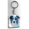 BORDER COLLIE DOG / Key Fobs