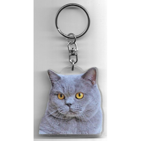 CHARTREUX  CHAT porte clés