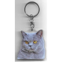 CHARTREUX CAT Key Fobs