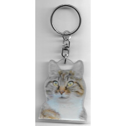 CAT  Key Fob