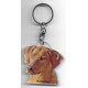 RODHESIAN DOG / Key Fobs