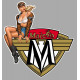 MAICO Pin UP  left laminared vinyl decal