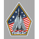 TOMCAT  laminated decal