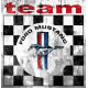 FORD MUSTANG TEAM Sticker vinyle laminé " vieilli "