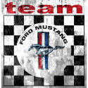 FORD MUSTANG TEAM Sticker vinyle laminé " vieilli "