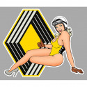 CAR left  Pin Up laminated decal