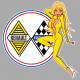 CAR " R " COMPETITION left  Pin Up laminated decal