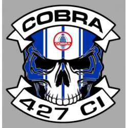 COBRA  Skull laminated decal