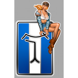 De Tomaso Vintage Pin Up right Sticker laminated decal