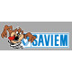 SAVIEM TAZ  Left  laminated  decal