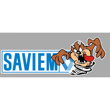 SAVIEM TAZ right Sticker laminated decal