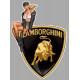 LAMNORGHINI  Left Vintage Pin Up  laminated  decal