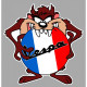 VESPA  TAZ France laminated decal