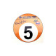 Denny HULME n°5 sticker droit