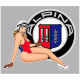 ALPINA righ Pin up   laminated decal