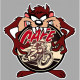 CAFE RACER TAZ laminated decal