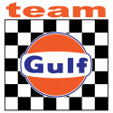 TEAM GULF Skull laminated decal