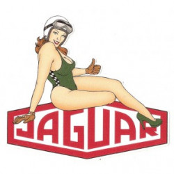 JAGUAR Pin Up Sticker droite vinyle laminé