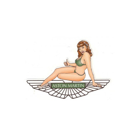 ASTON MARTIN Pin Up gauche Sticker  vinyle laminé