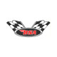 BSA Wings  laminated decal