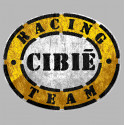 CIBIE " trash "  laminated decal