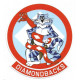 DIAMONDBACKS  Laminated decal