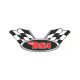 BSA Wings   laminated decal