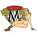 MAICO Pin UP  left laminared vinyl decal