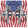 F0RD MUSTANG BIC  Sticker   68mm x 65mm