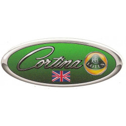 FORD GT Pin Up Sticker UV 75mm x 70mm   