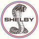  SHELBY COBRA Pin Up Sticker UV 75mm x 70mm                                                   