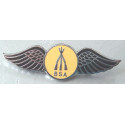 BSA arms ailes badge email