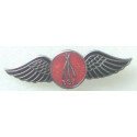 BSA arms ailes badge email