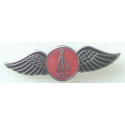 BSA arms wings enamel badge