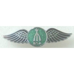 BSA arms ailes