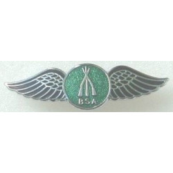 BSA arms wings badges