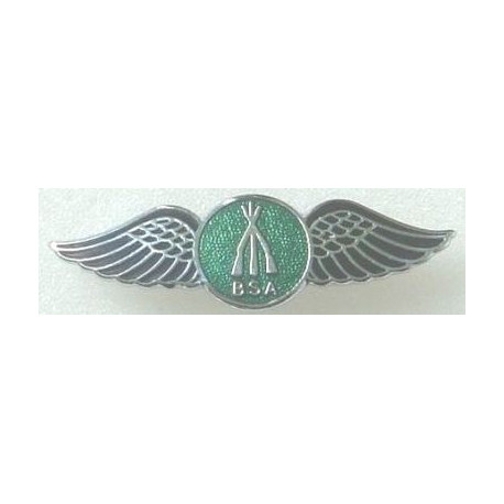 BSA arms wings badges