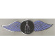 BSA arms wings badges