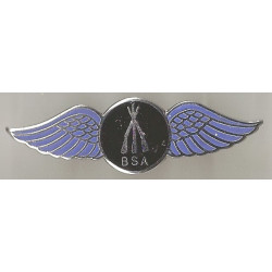 BSA arms ailes badge email