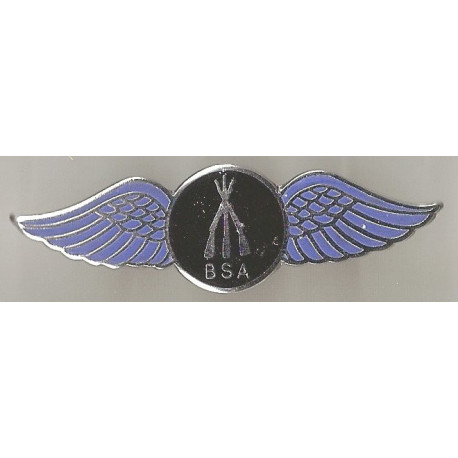 BSA arms wings badges