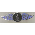 BSA arms ailes badge email
