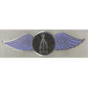 BSA arms wings enamel badge