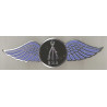 BSA arms ailes badge email