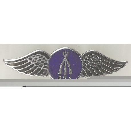 BSA arms wings badges