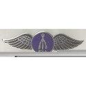 BSA arms ailes badge email