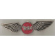 BSA arms wings badges