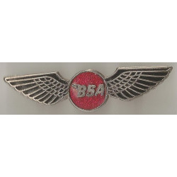 BSA  ailes badge email