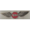 BSA  ailes badge email