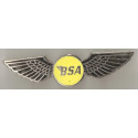 BSA wings enamel badge